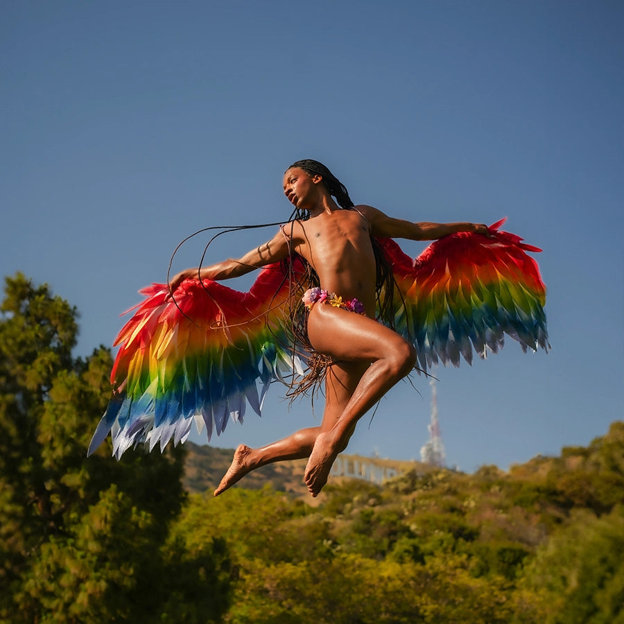 HALO – The Lightweight Luminous Angel